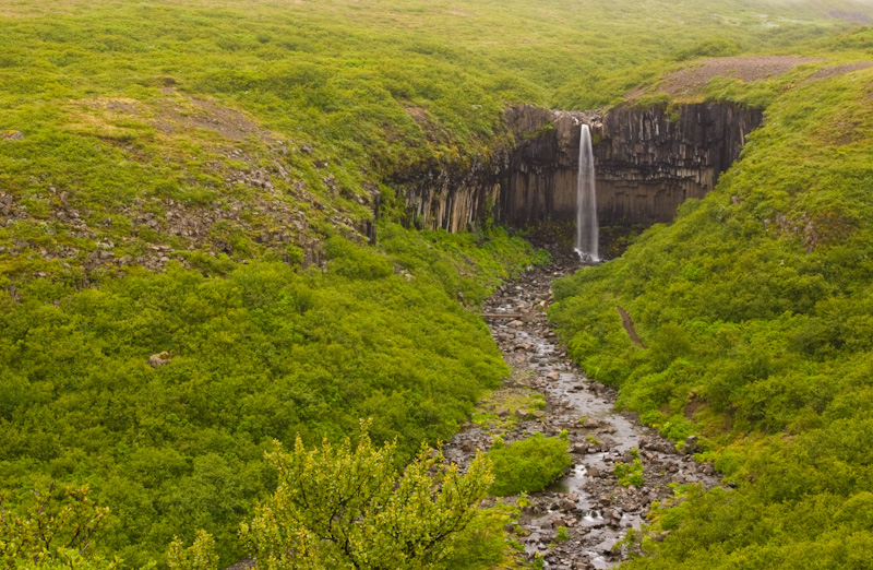 Svartifoss